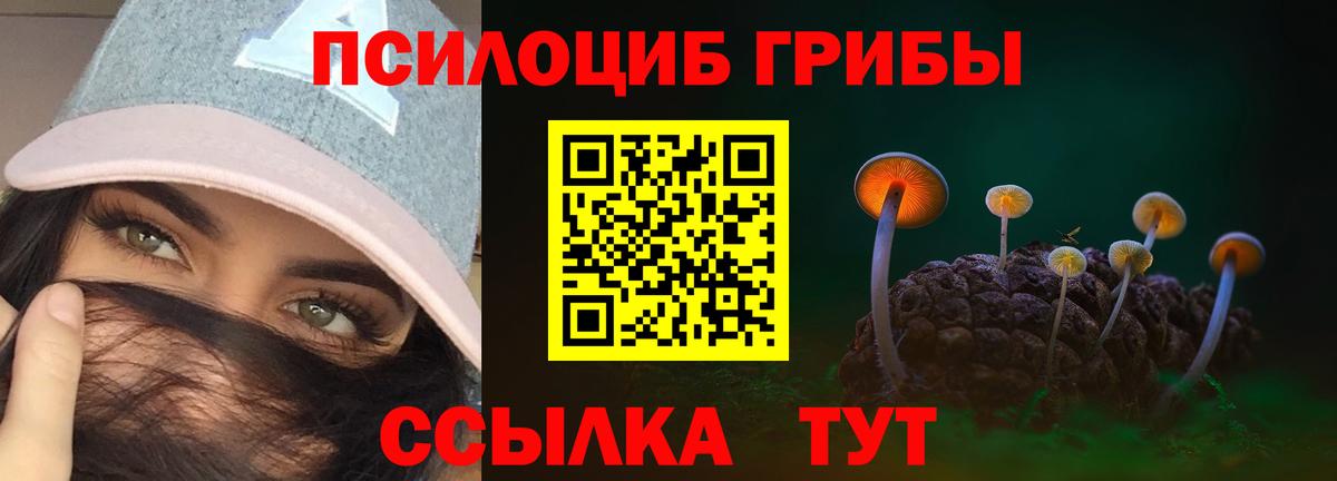 Галлюциногенные грибы ЛСД  Вход с VPN  Ижевск 